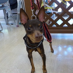 アニマー湯千葉店譲渡会 サムネイル3