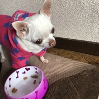 きらら