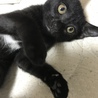 の写真