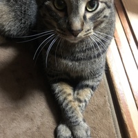 クゥ