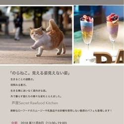 中川こうじ写真展＋cafe