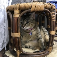 ルナ