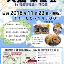犬猫譲渡会 サムネイル1