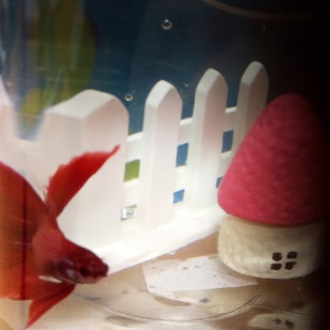 eremoaのカバー写真