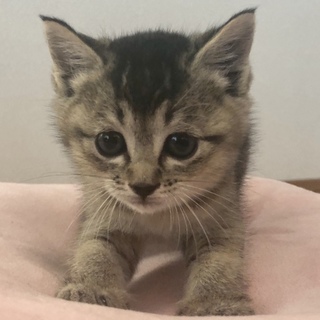 小さな女の子♡元気です！