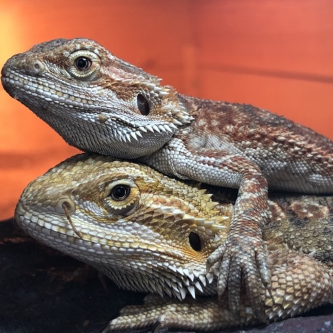 kaito0408のカバー写真