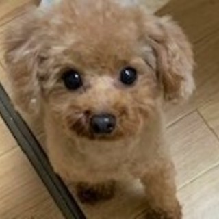 現在応募頂いた方とお話中につき一旦募集を終了します