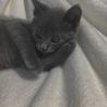 おじさんみたい ^_^