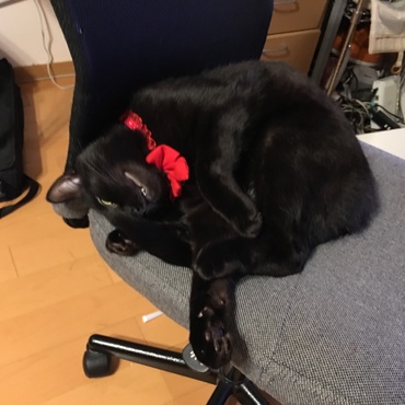 熟睡中