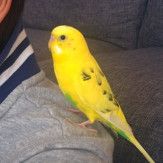 たくさんの暖かいご連絡ありがとうございました‼