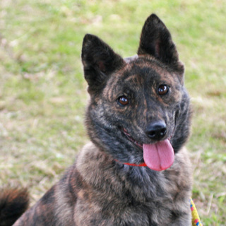 元気で活発な女の子、まさになおみちゃん♥