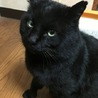雪印もも