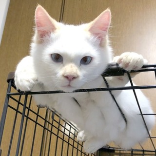 可愛さ満点！愛嬌顔の男の子