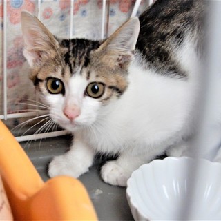 吸い込まれそうな素敵なお目目！