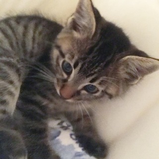 優しいママに出逢えました❣️感謝❣️