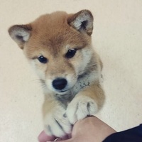 村上空