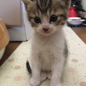 およそ生後1ヶ月ぐらいです