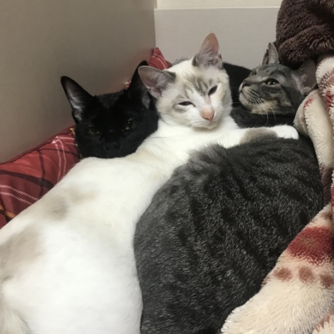 B&Sのカバー写真