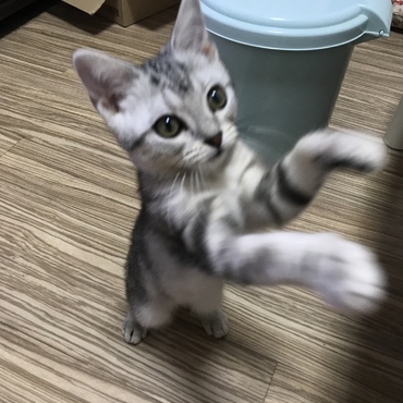立ったところ