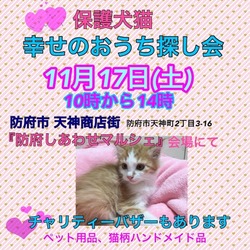 保護犬猫幸せのおうち探し会