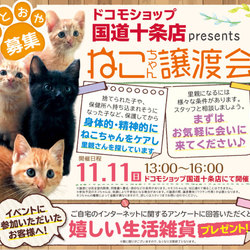 ねこの譲渡会＠ドコモショップ サムネイル1