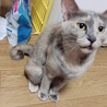 の写真