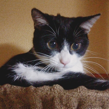 の写真