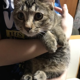 やんちゃな女の子