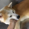 夕輔