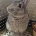 そら君だよ、元気な男の子