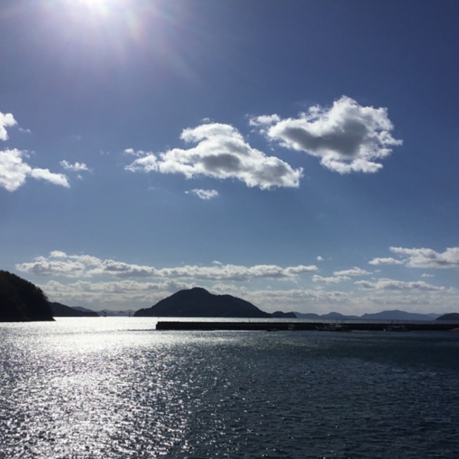 バレー部かつらのカバー写真