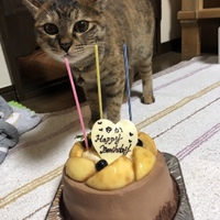 ラテ