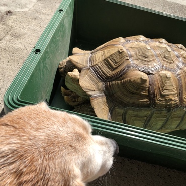 体、あったまってきましたか？