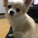 元気な男の子です！