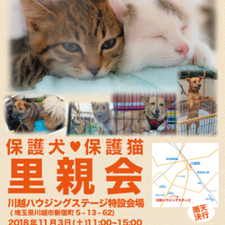 川越ハウジング犬猫譲渡会