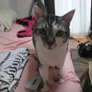 ヤマナカ君、２歳くらい