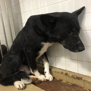 緊急です。。助けて下さい。