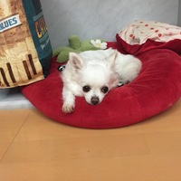 石野クプ