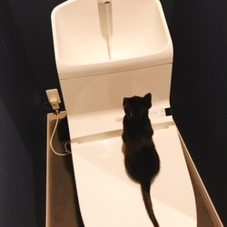 里親になって１ヶ月