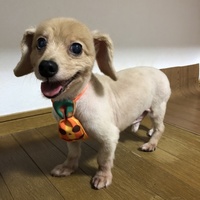 まろん