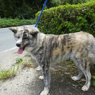 家族ができました！！