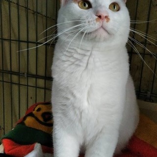 お時間かかるかもですが、よろしくお願いいたします。