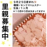 キンクマハムスターの里親募集！ サムネイル2