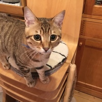 メイちゃん