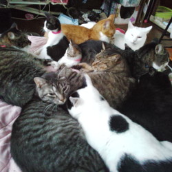 朝、起きてみれば・・・