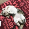 の写真
