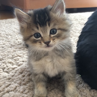 ふわふわ元気な男の子♡