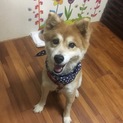 尻尾フリフリ、愛らしい男の子♡