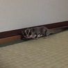 の写真