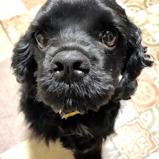 人が好き過ぎボン君